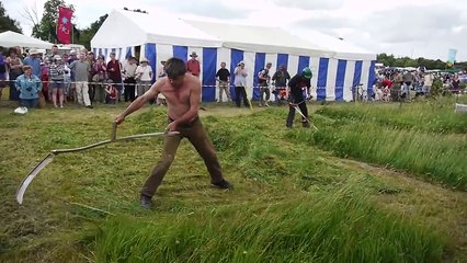 Débroussailleuse VS faux manuelle : concours de tonte d'herbe!
