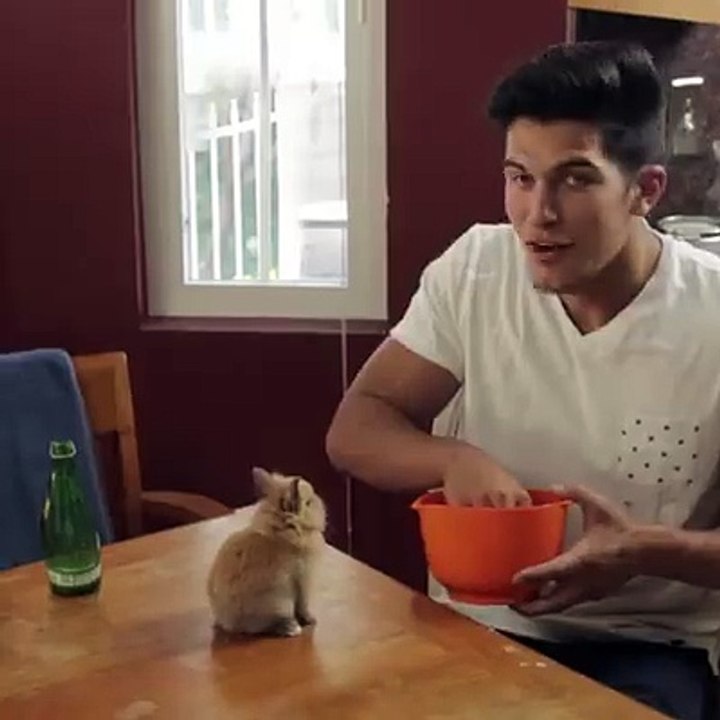 cat's heart is broken -funny short video