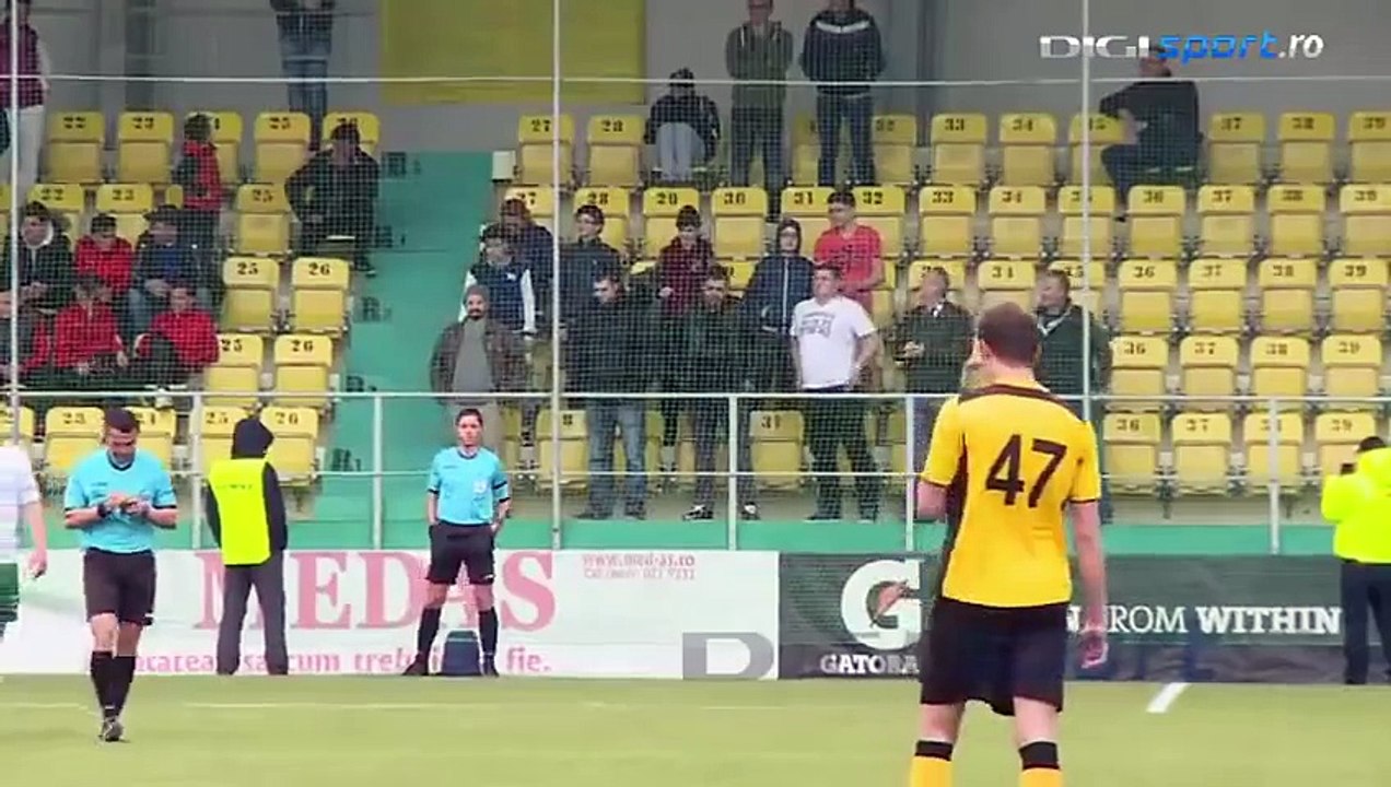 Des supporters roumains imitent l'arbitre de touche