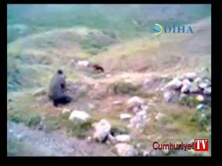 Katırların kurşunlanarak vurulduğu görüntüler ortaya çıktı