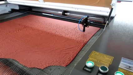 Auto feeding cloth fabric laser cutting machine-Liaocheng Ray Fine technology Co.,ltd
