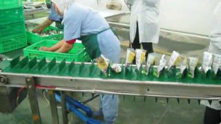 Bags automatic quantitative granule filling and sealing machine for mustard tuber   2423134032@qq.com
