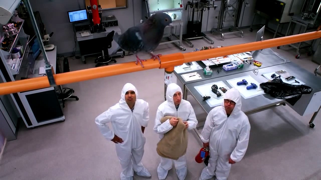 The Big Bang Theory A Christmas Miracle- Dailymotion