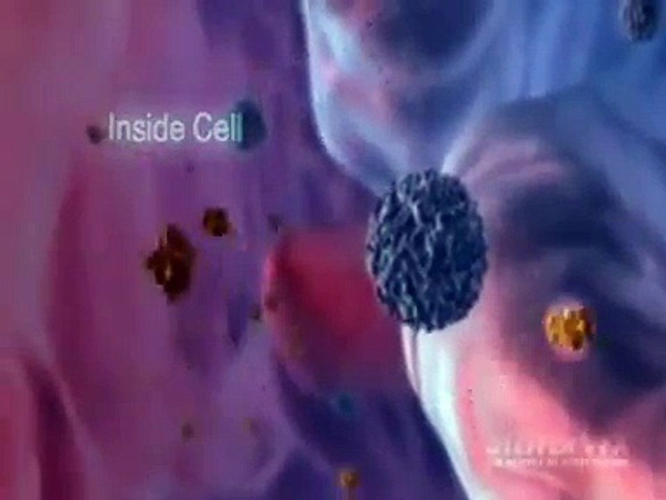 Anémie ferriprive Généralités Ferritine sérique Gastro نقص الحديد الفيريتين الدموي- Dr AMINE A