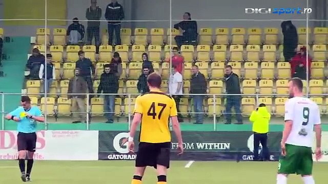 Funny ! Romanian Fans mimic the assistant referee - Chiajna vs FC Brasov 2015