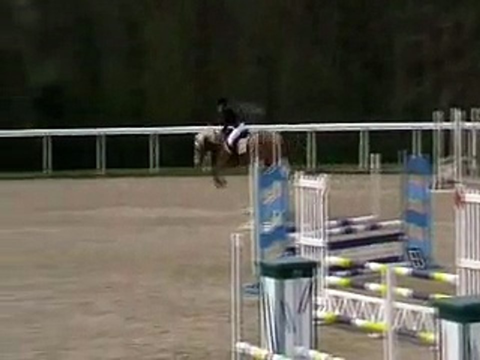 10 Avril 2015 Beckett de la Méloise