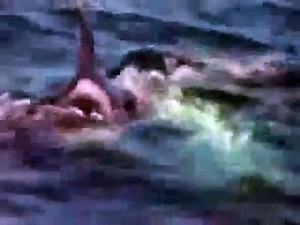 ＜サメ－Shark136－＞サメVSシャチ