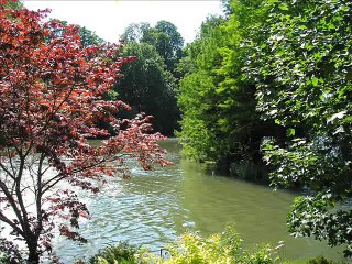 Les bords du Loiret à Olivet