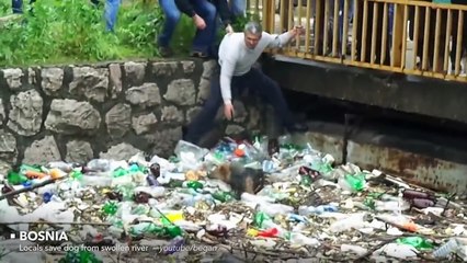 Restore your faith in humanity in 4 minutes flat