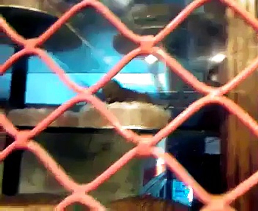 Gourmet bakery substandard management