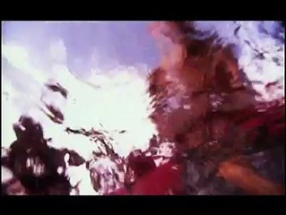 Shark Week 2007 - Scary Shark Attack