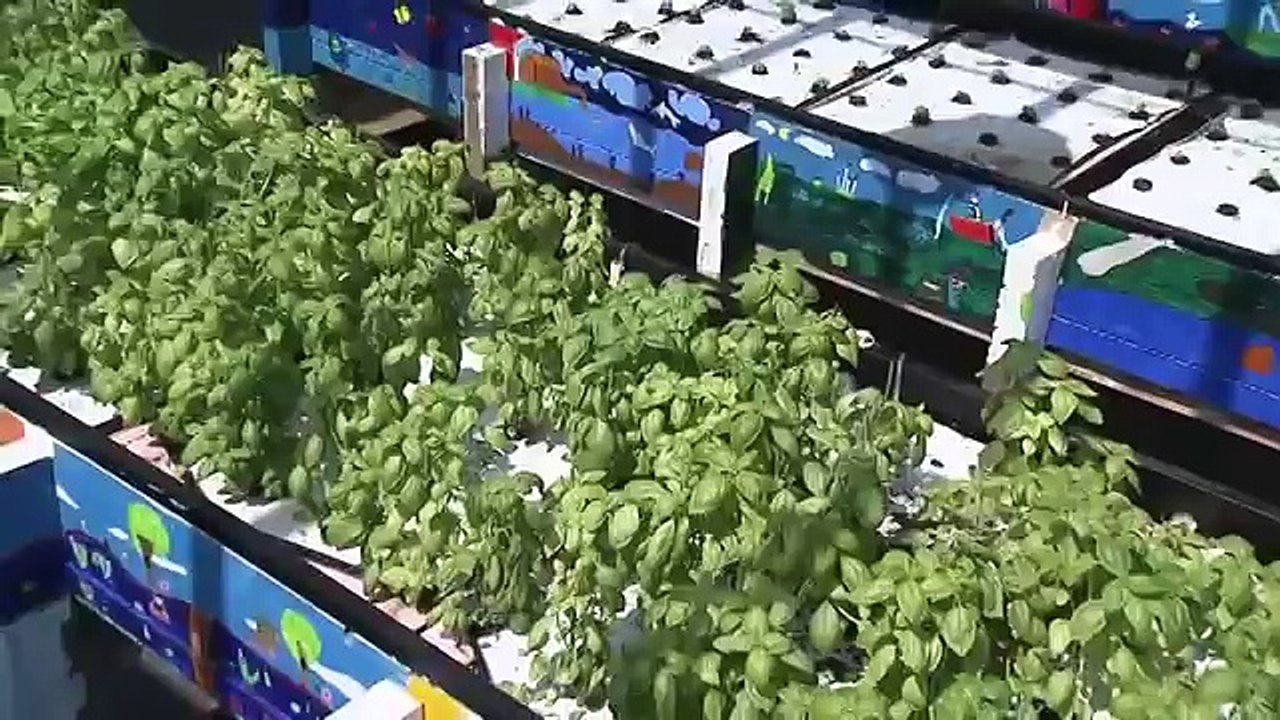 Introduction To Aquaponics (Concepts and Methods)