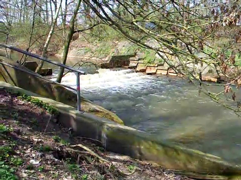 Burgdorf im Frühling 2014