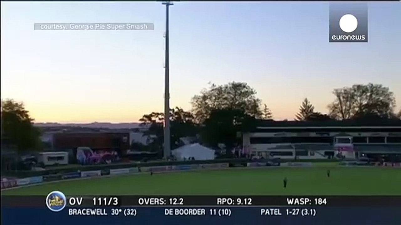 Cricket fan makes incredible $4000 catch