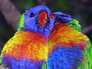 En mamma er en mamma