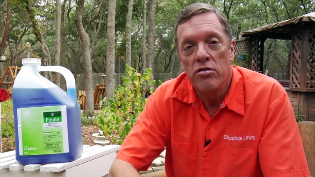 Lawn Care Tips : How to Get Rid of Poison Oak & Poison Ivy