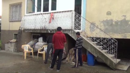 Ambarda İstiridye Mantarı Yetiştiriyor