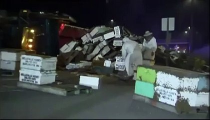 Un camion transportant du miel et des abeilles se renverse au milieu de la route aux USA.