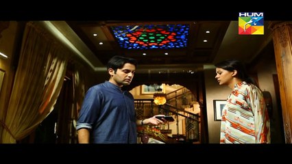 Aye Zindagi Episode 5 Full HUM TV Drama Apr 9, 2015