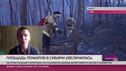 Почему власти в пожарах обвиняют оппозицию, а местные жители ругают губернатора и МЧС. Прямое включение из Читы