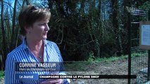 Le JT de VOtv du 17 avril 2015