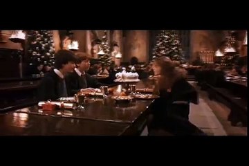 Sagan Om Harry Potter 3