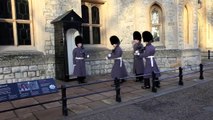 Make Way for Queen's Guards!... At the Tower of London, England.