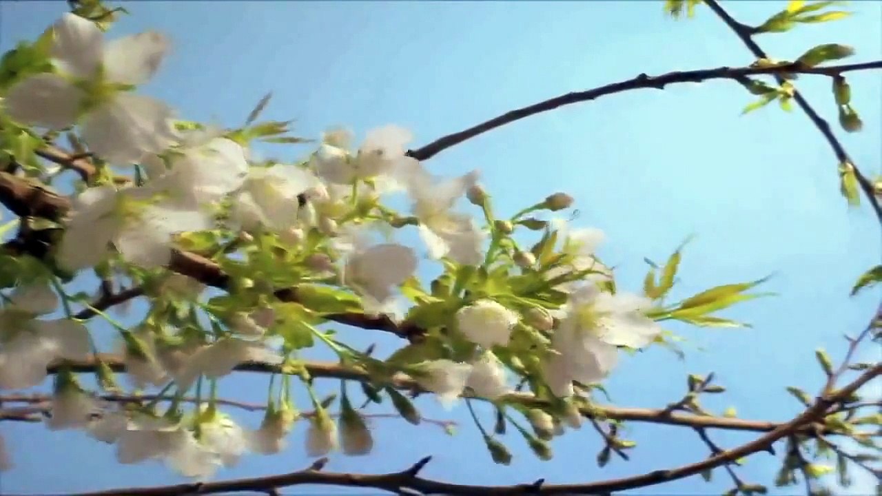 Vitali - "Chaconne" for violin and orchestra [Sarah Chang] HD