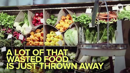 You Won't Believe How Much Food We Waste