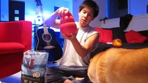 Dog Toys Review: Smarter Toys iQ Ball vs. Kong Wobbler (Shiba Inu Judge Mac)