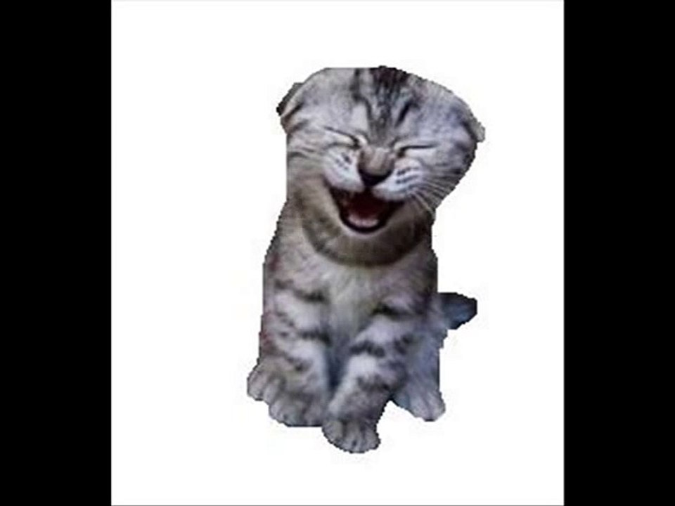 The Laughing Cat
