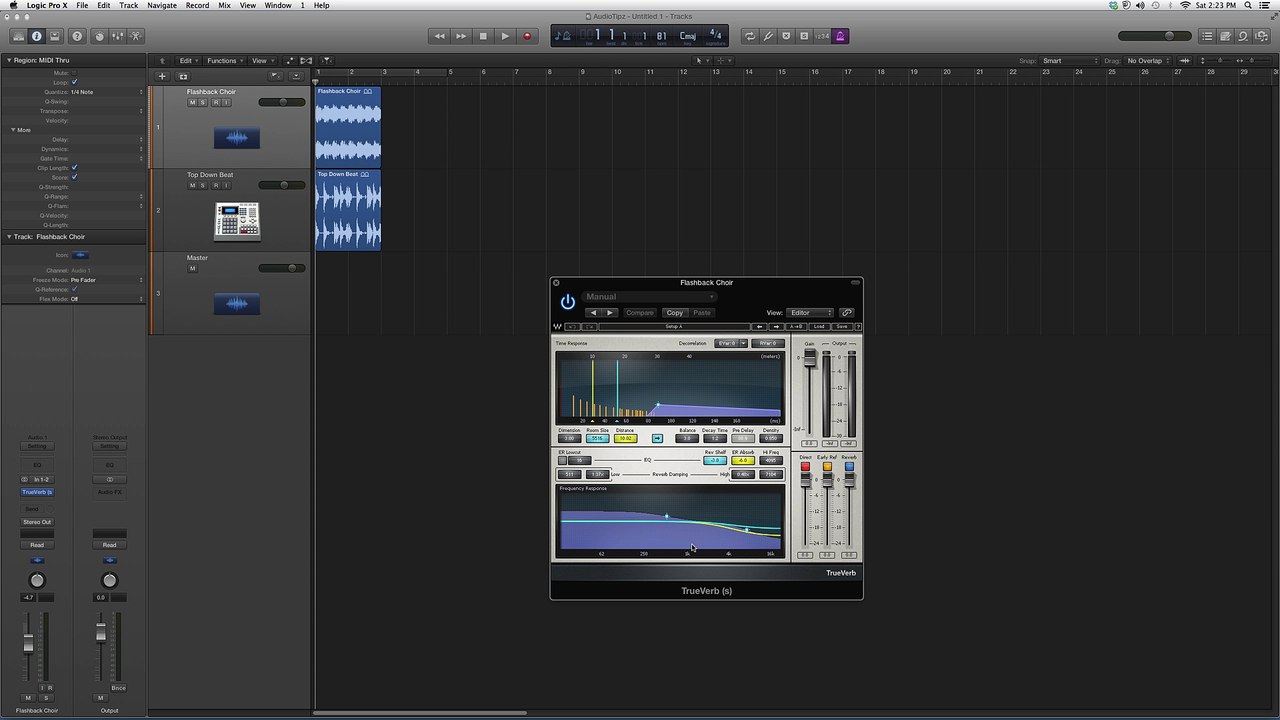 Waves TrueVerb In Logic Pro