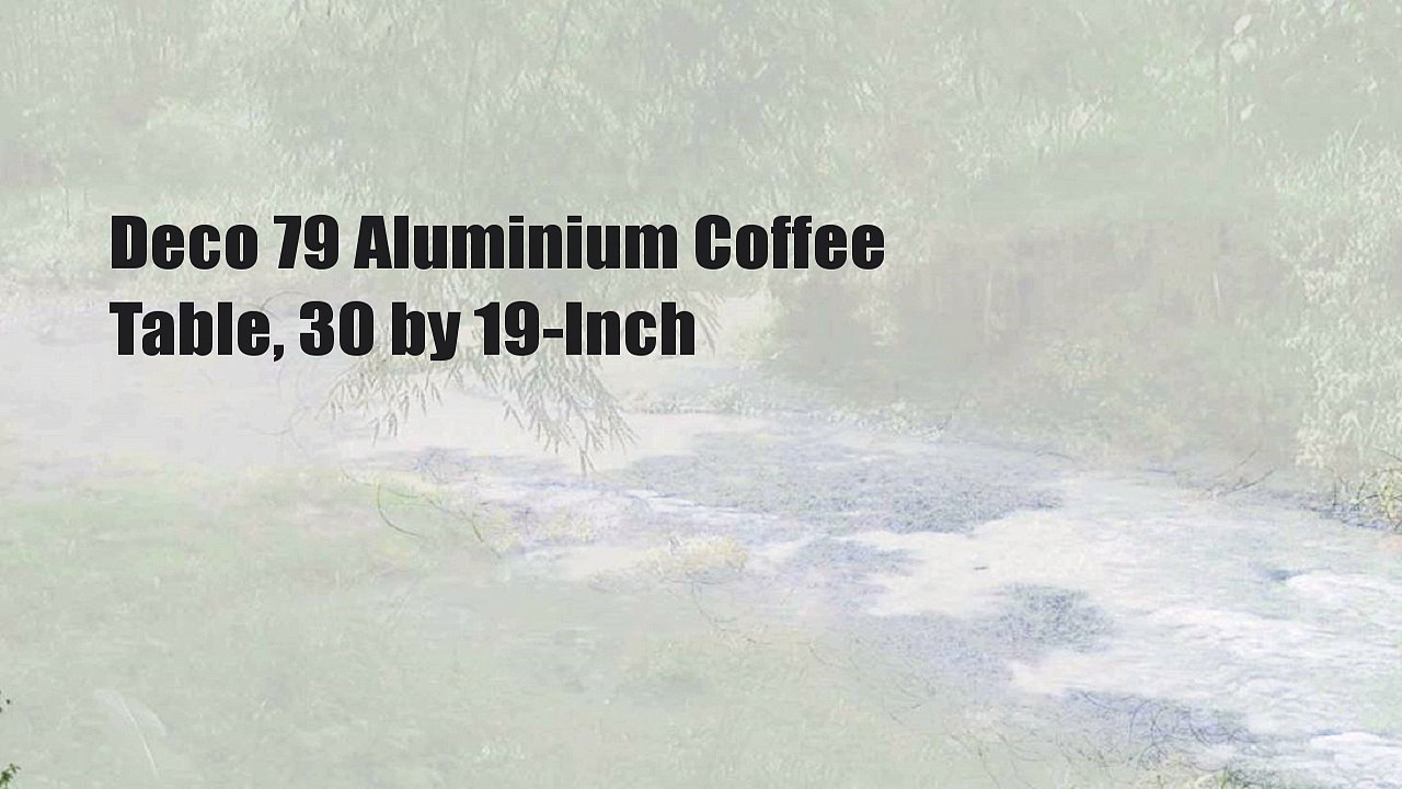 Deco 79 Aluminium Coffee Table, 30 by 19-Inch