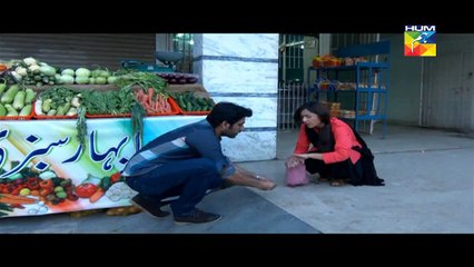 Jugnoo Episode 01 Full HUM TV Drama April 17, 2015