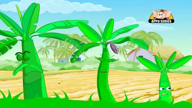 Learn about Plants in Hindi - Starting to Grow