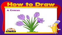 Learn to Draw a Flower in Hindi - Crocus