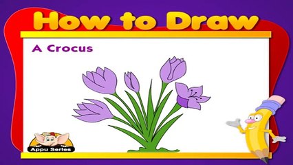 Learn to Draw a Flower in Hindi - Crocus