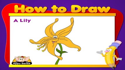Learn to Draw Flower in Hindi - Lily