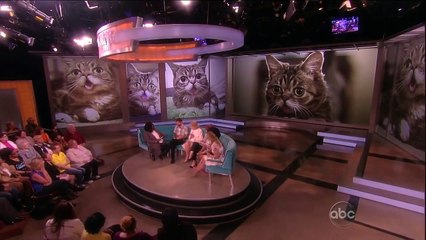 Lil Bub Visits "The View"! - The View