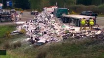 Truck Carrying Millions Of Bees Overturns On WA Interstate
