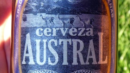 Volcans du Chili à ski