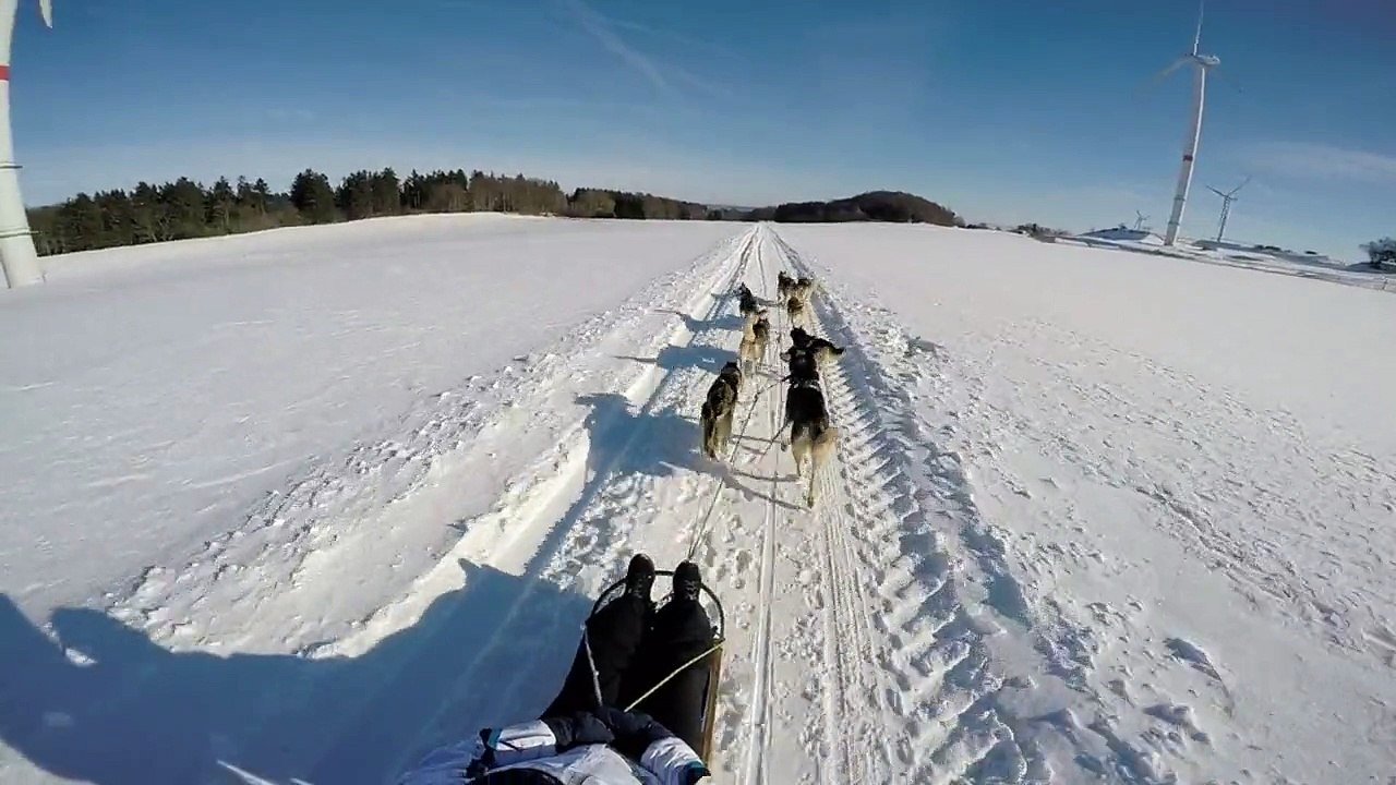 Clip_1