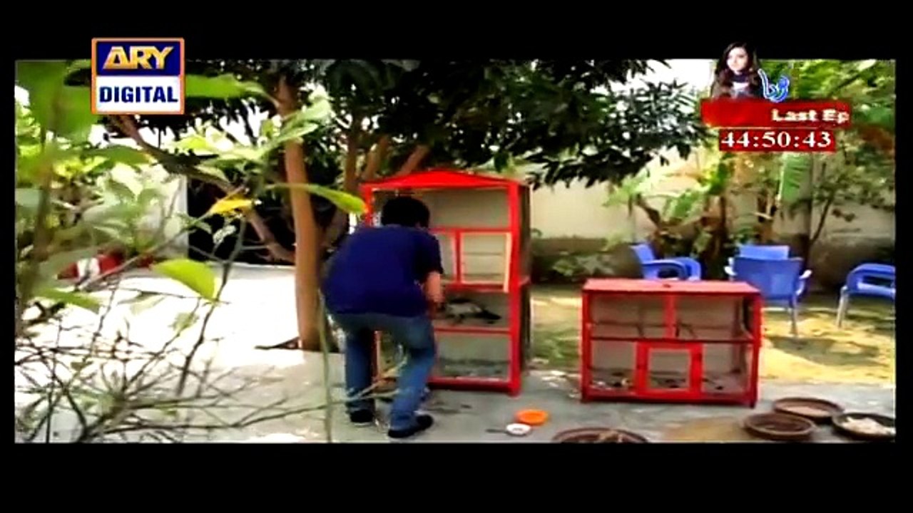 Dil e Barbaad Full Episode 35 - 15th April 2015 - ARY Digital