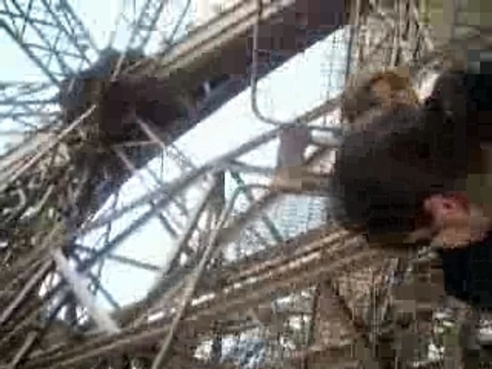 monter de la touir eiffel 1er etage