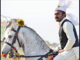 Horse cough(khansi) ka elaj Dr.Ashraf Sahibzada