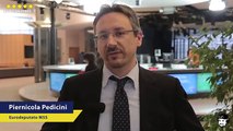 Alcol, Pedicini (M5S): tuteliamo i consumatori e le PMI - MoVimento 5 Stelle