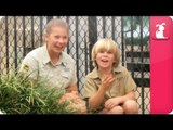 Bindi & Robert Irwin feature huge salt-water crocodile - Growing Up Wild