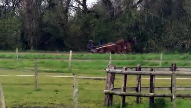 DAME DE DYPP ET DEESSE DE BOMO SUR LA PISTE DE STE MARIE