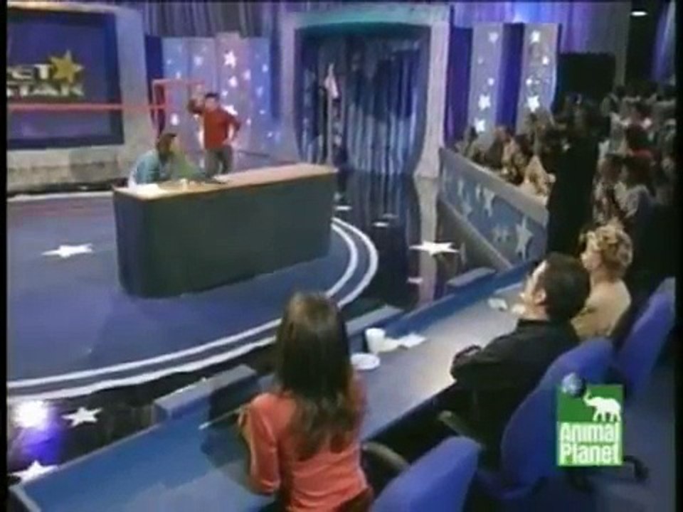 Zac the parrot on Pet Star