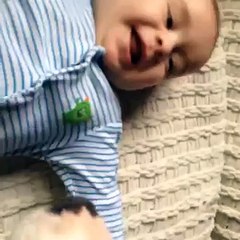 Pit Bull smothers baby with kisses